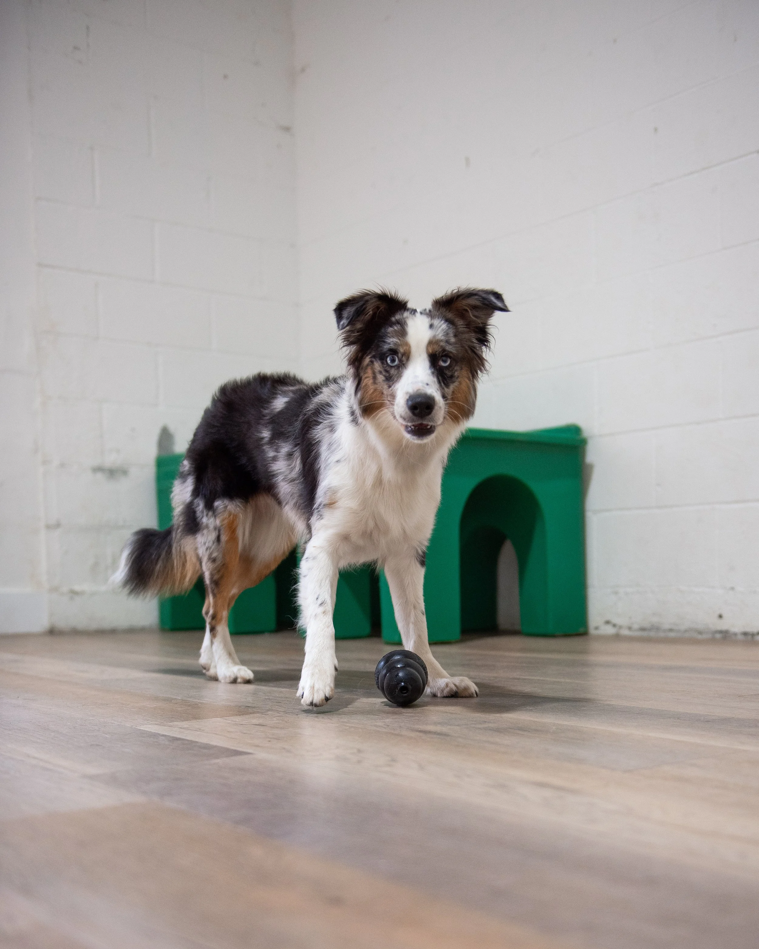 How Enrichment Daycare Helps Anxious, Adolescent, and High