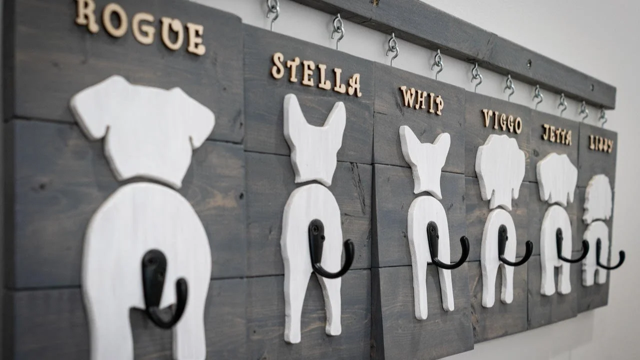 Good Dog facility