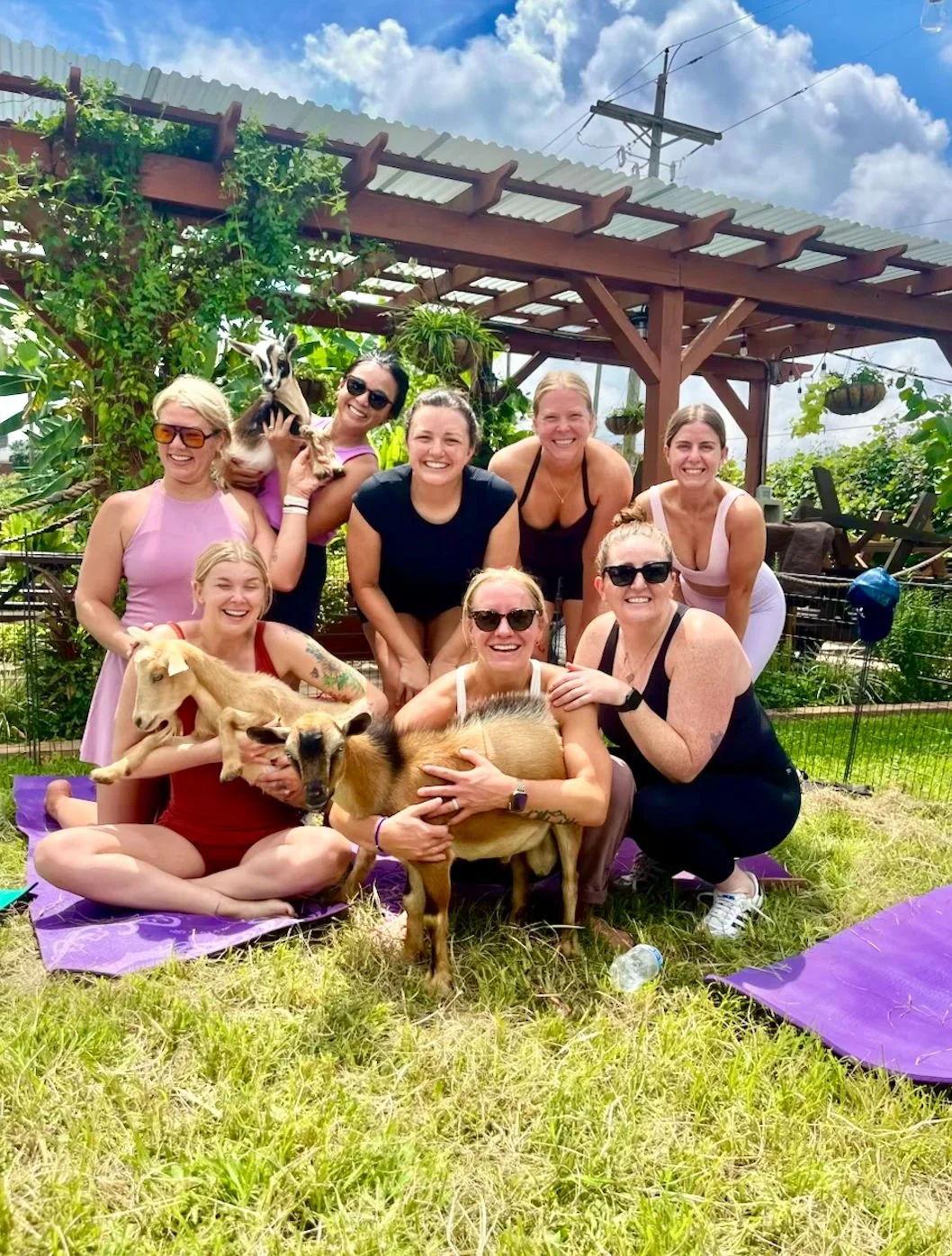 Goat Yoga at Paradigm Gardens