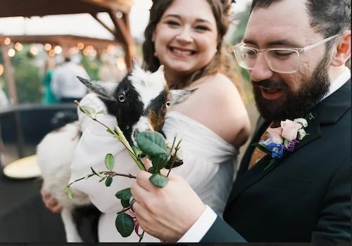 Micro Weddings in New Orleans for Couples Who Want Something Smaller