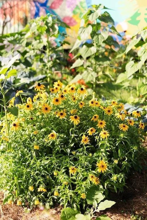  Event Environmental Impact - Eco-Friendly Garden Venue