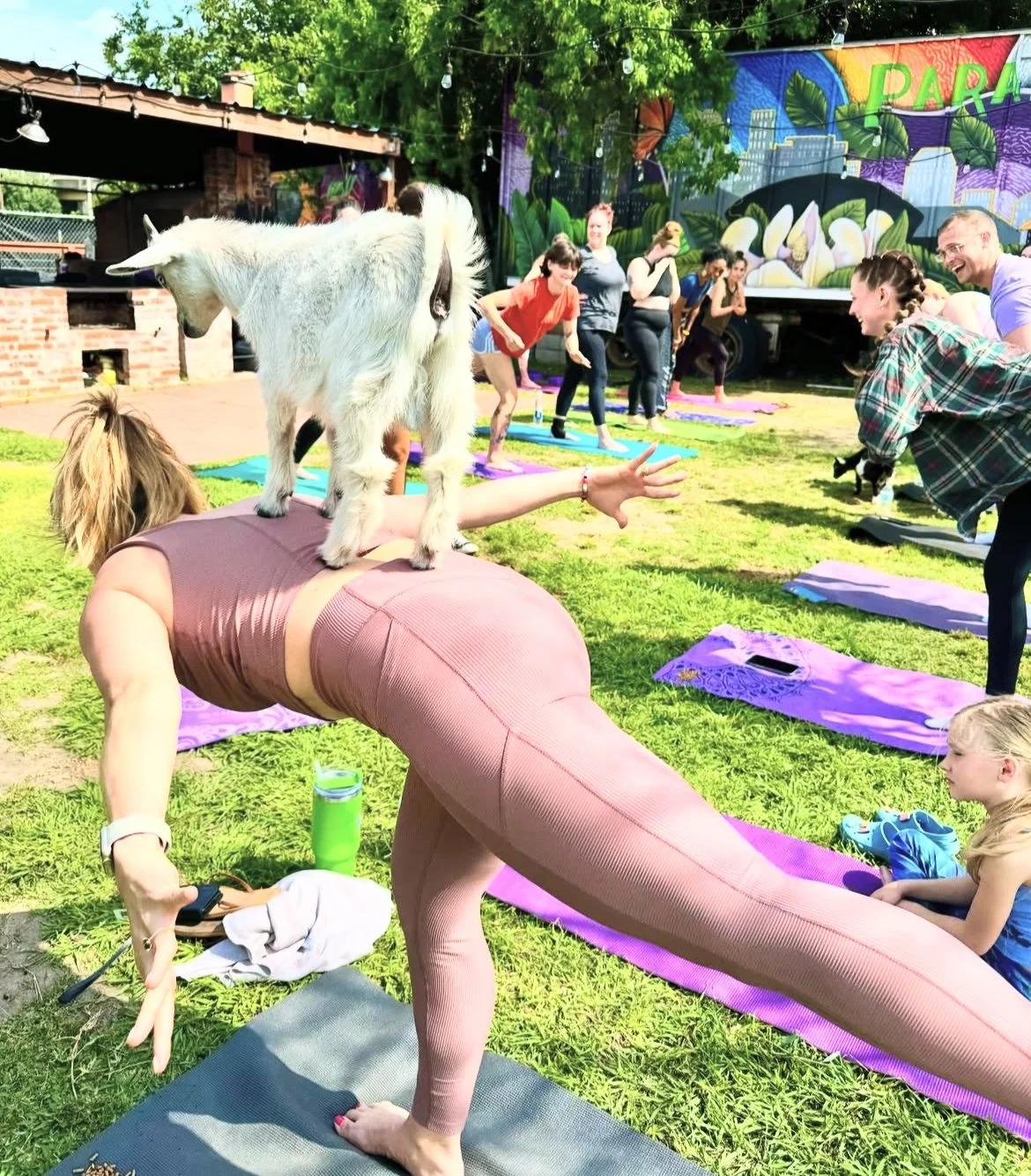 Group of people participating in outdoor yoga class on grass, with a small goat standing on a woman's back, and colorful mural in the background.