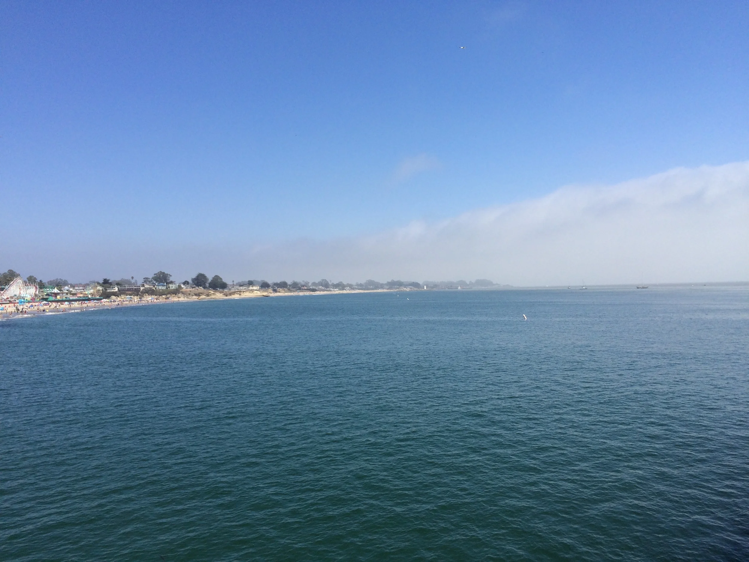IMG_5046.jpg