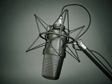 Voiceover Artist I've worked with a number of advertising agencies to produce voiceovers for a variety of products. This includes corporate training introductions, audiobooks, visual product descriptions, commercials, and more. Soundcloud - Upwork - RN Com Total This image a royalty free purchased stock photo (the only stock photo on this page).