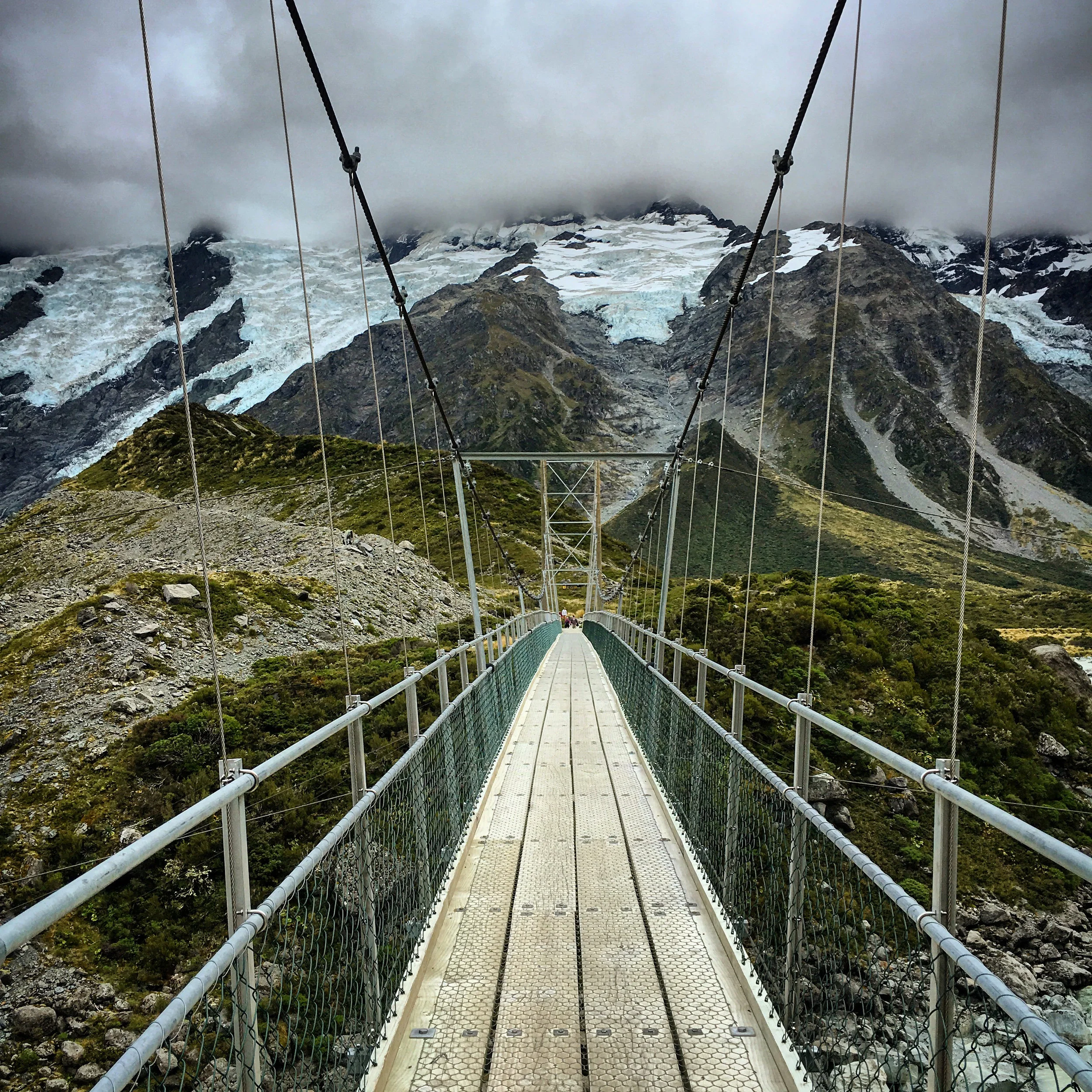 NZ6.jpg