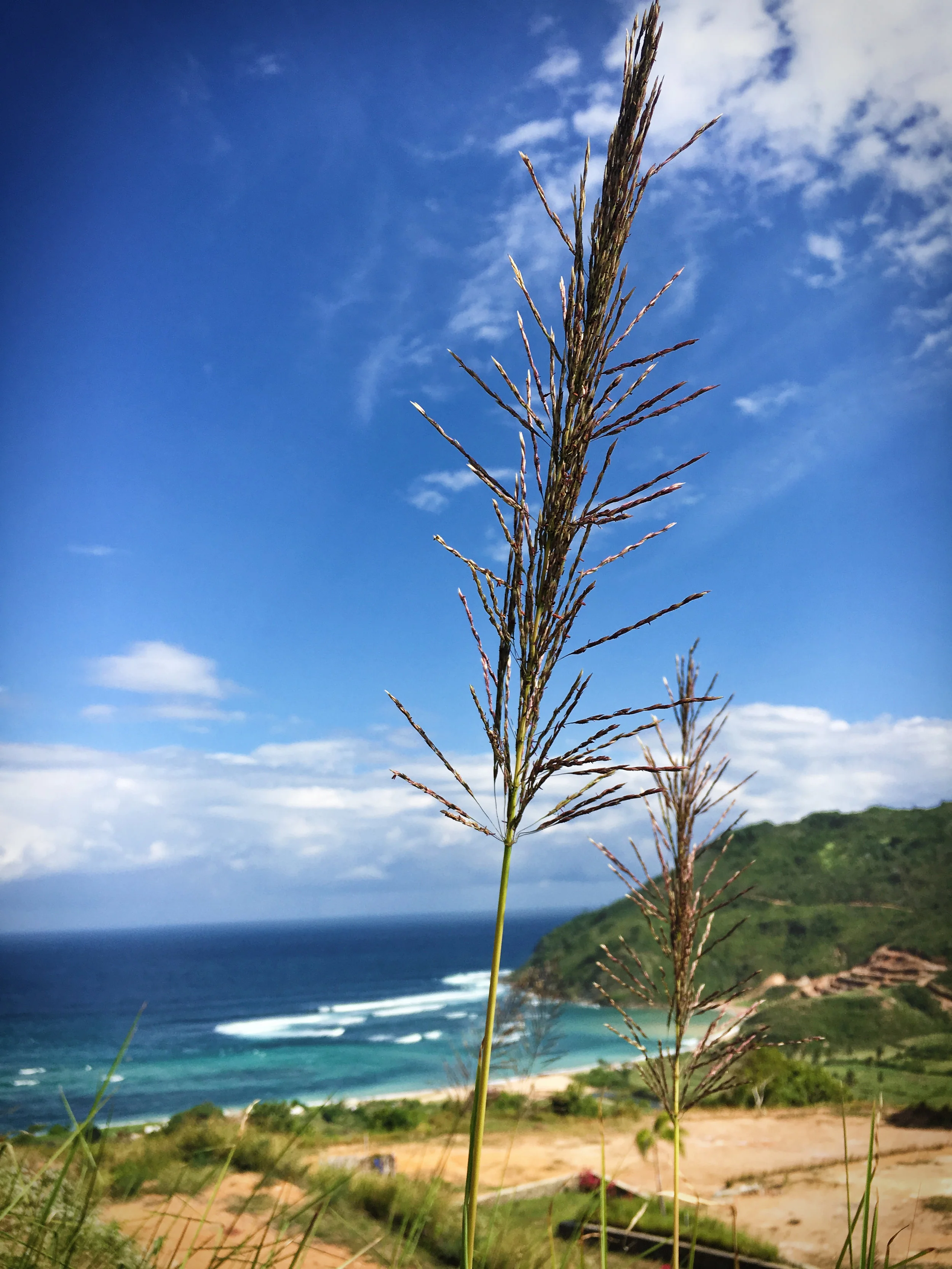 Lombok.jpg