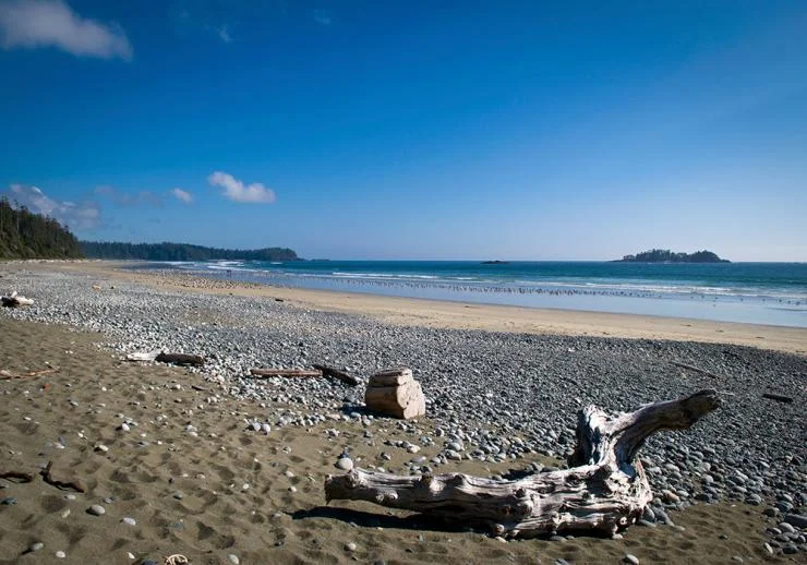 tofino-summer-beach_MR.jpg