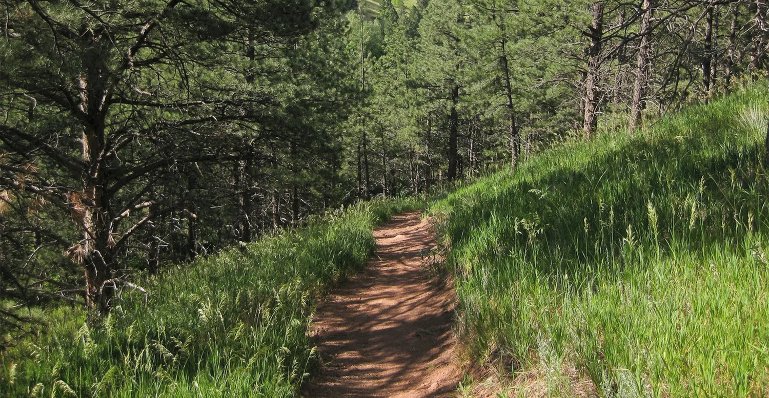 Sprints versus Distance - Training and Fitness Magazine