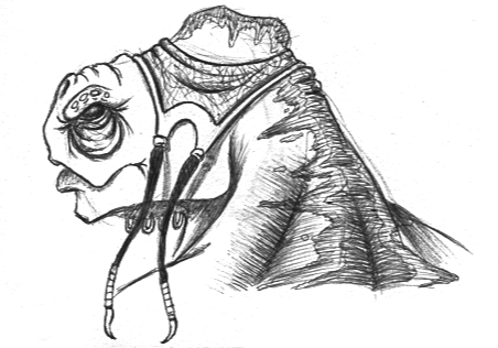 stacks_image_338.png