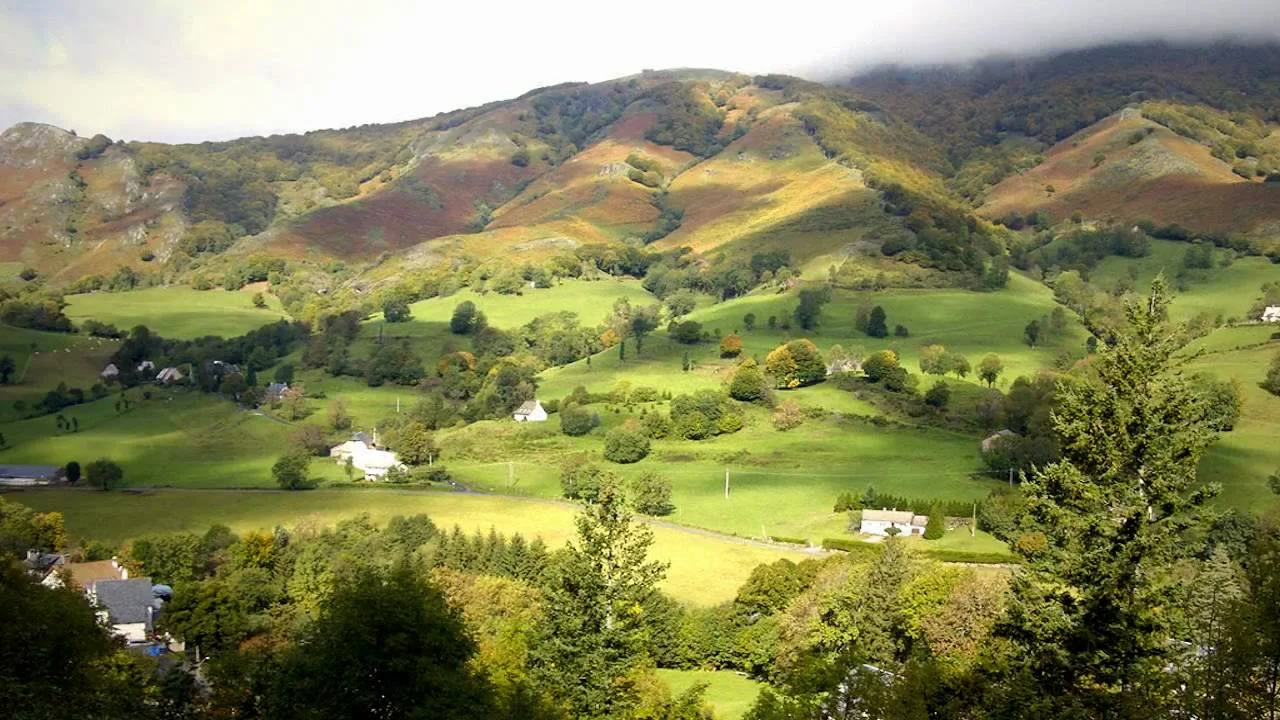 What being an introvert means to me...