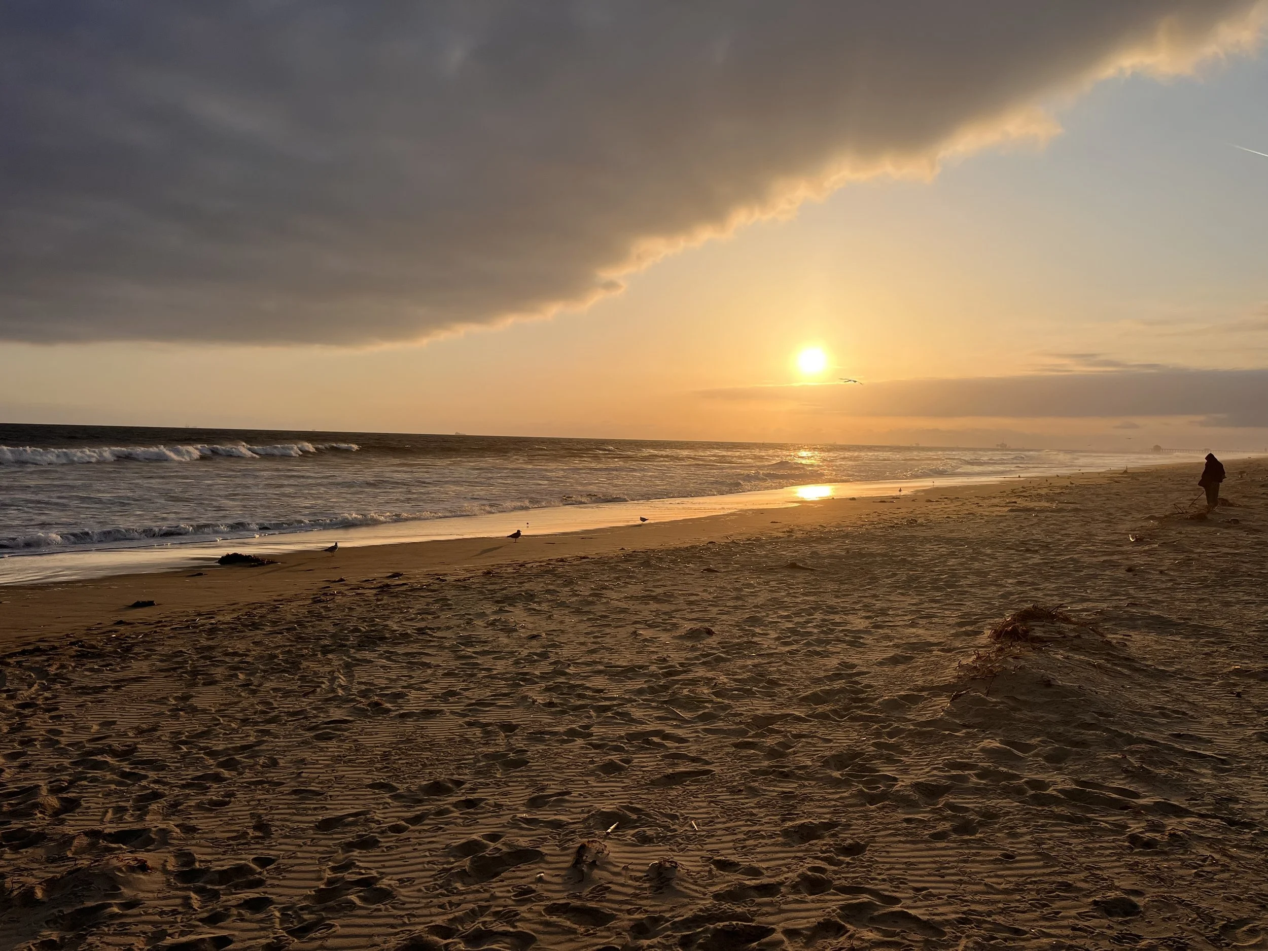 Empowered Presence Package: 8 Sessions, ELI-360