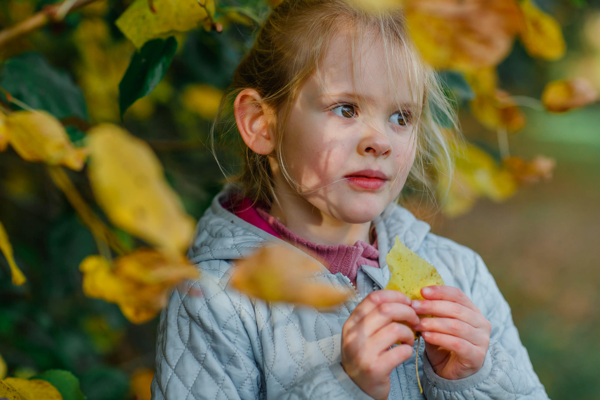 Redhill Photographer