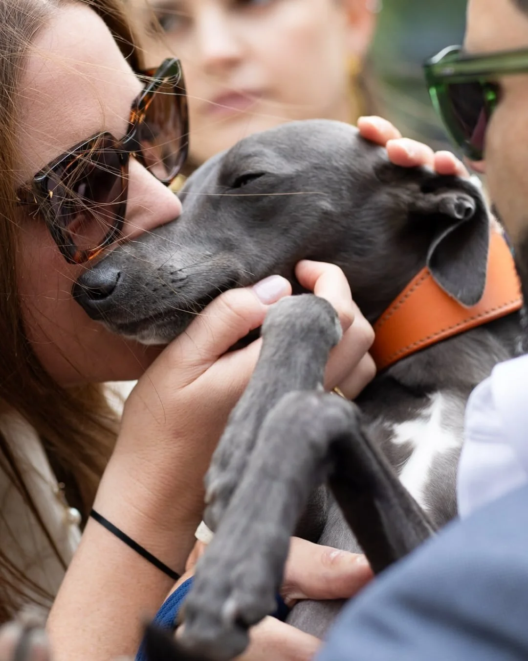Gabby &amp; Jake (and Susie) 
A day all about love. 
This wedding will forever be etched in my memory as the one that was almost cancelled because the bride and groom couldn&rsquo;t find their beloved Whippet Hound. Five minutes before I was about to
