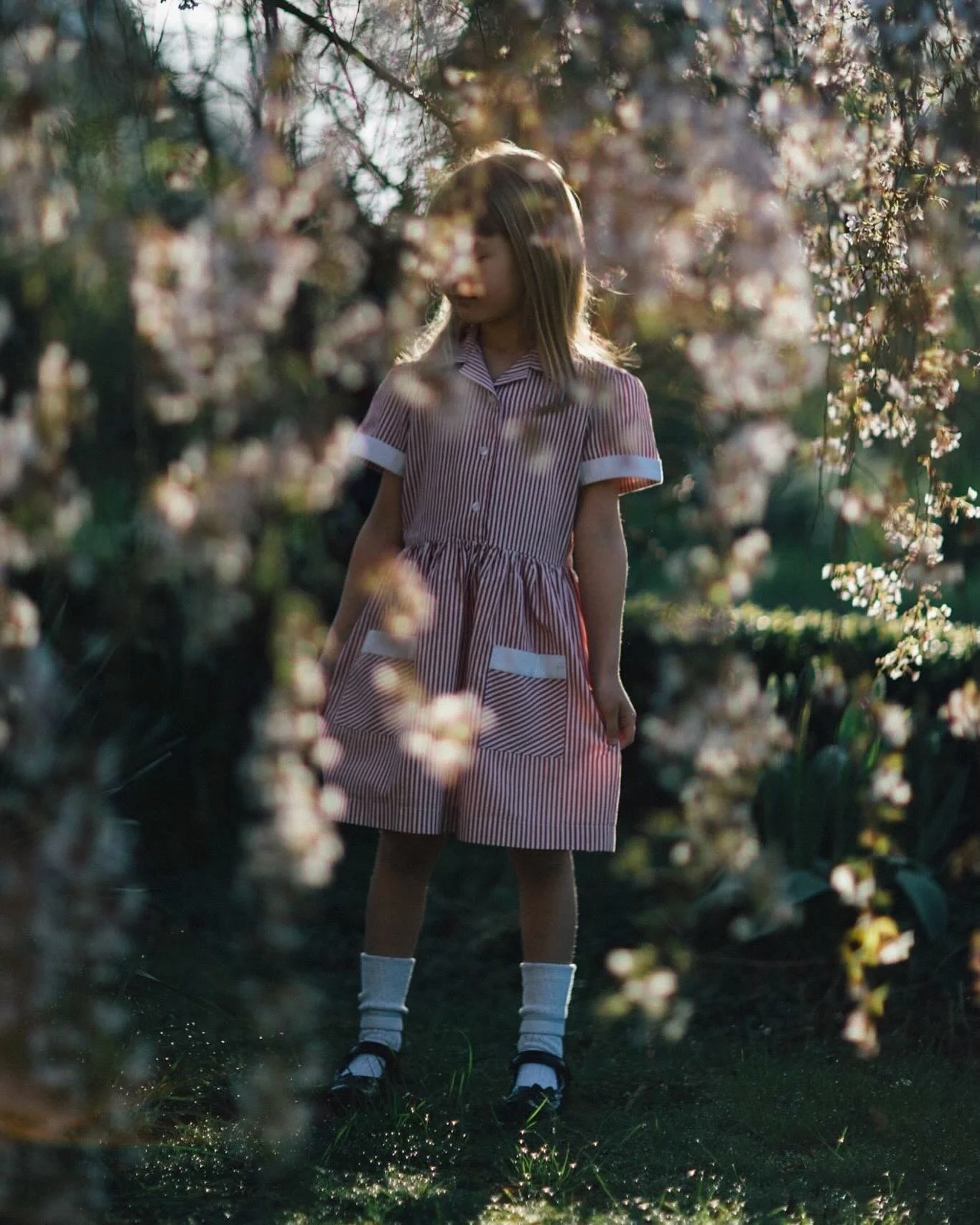 More than the flowers, the biggest treasure of spring, is the return of the light.  Just when you thought it could not get any darker, muddier, or grayer, the light returns. 💫 
@photovogue #pvmondayspring