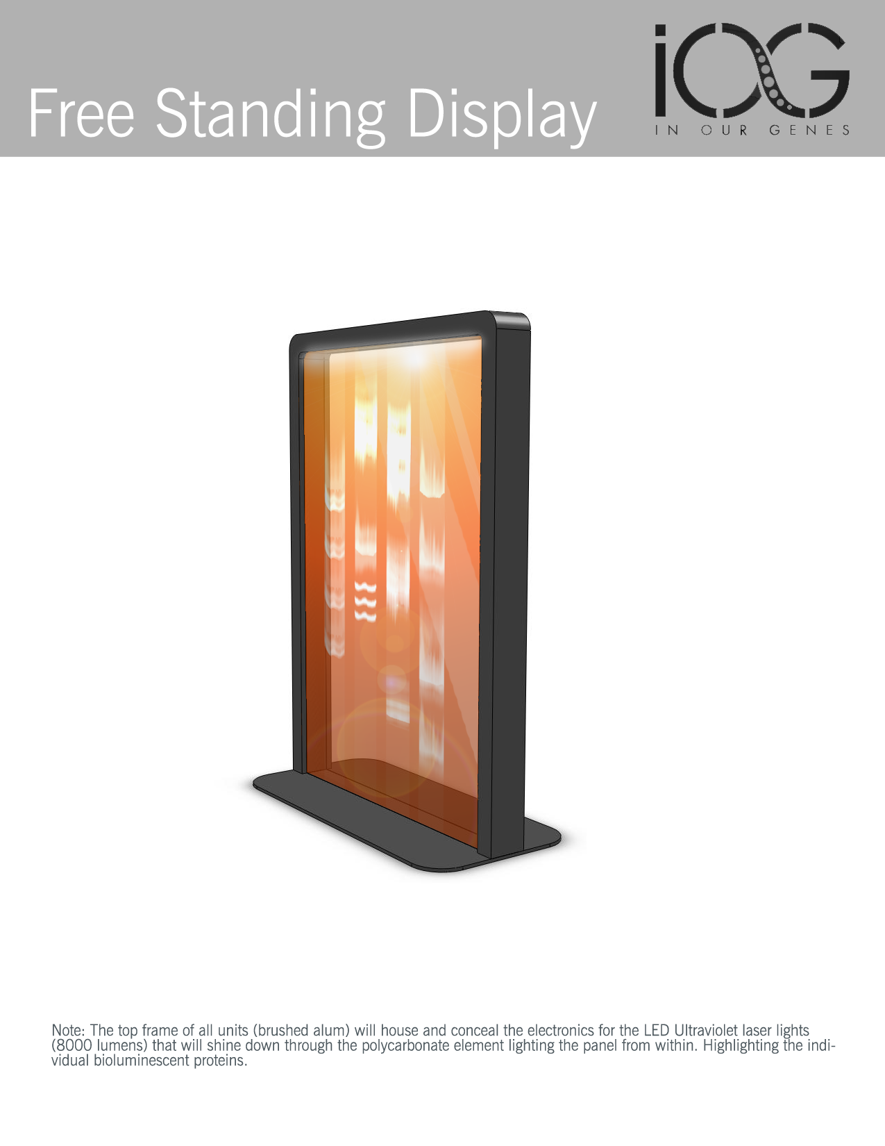 Free Standing Dimensioned Layout 2.png