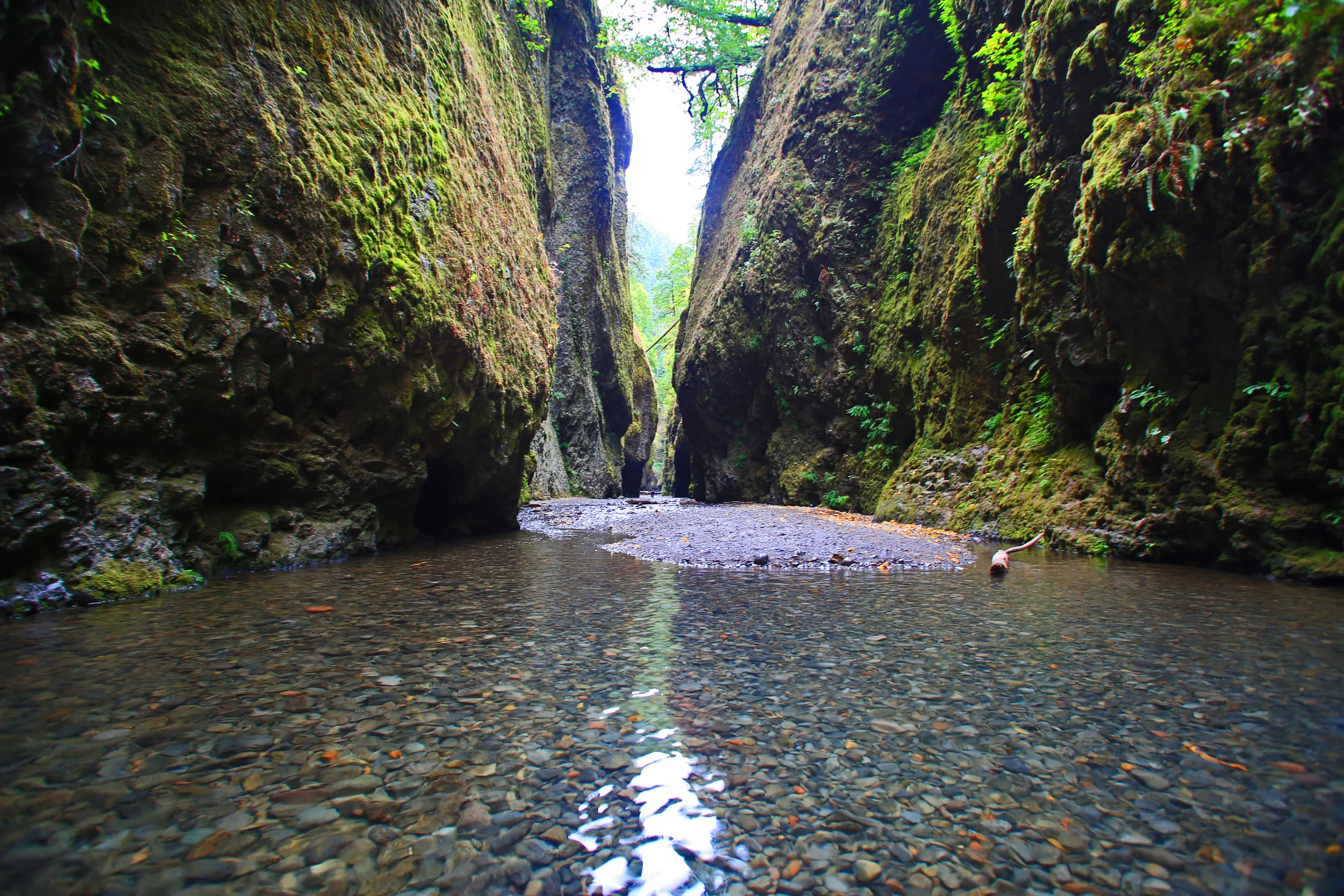 Oneonta Gorge