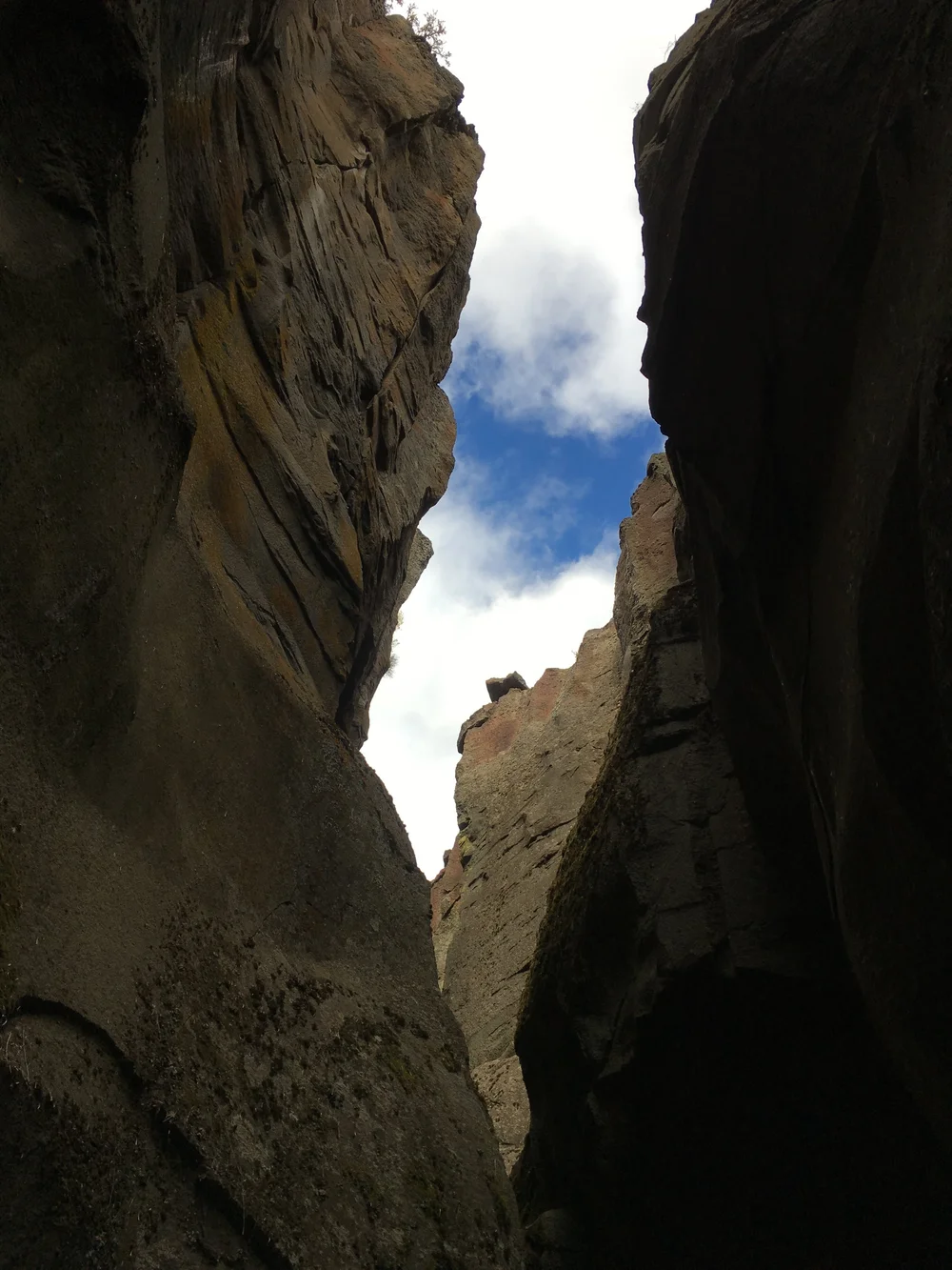 Crack In The Ground - 13.JPG