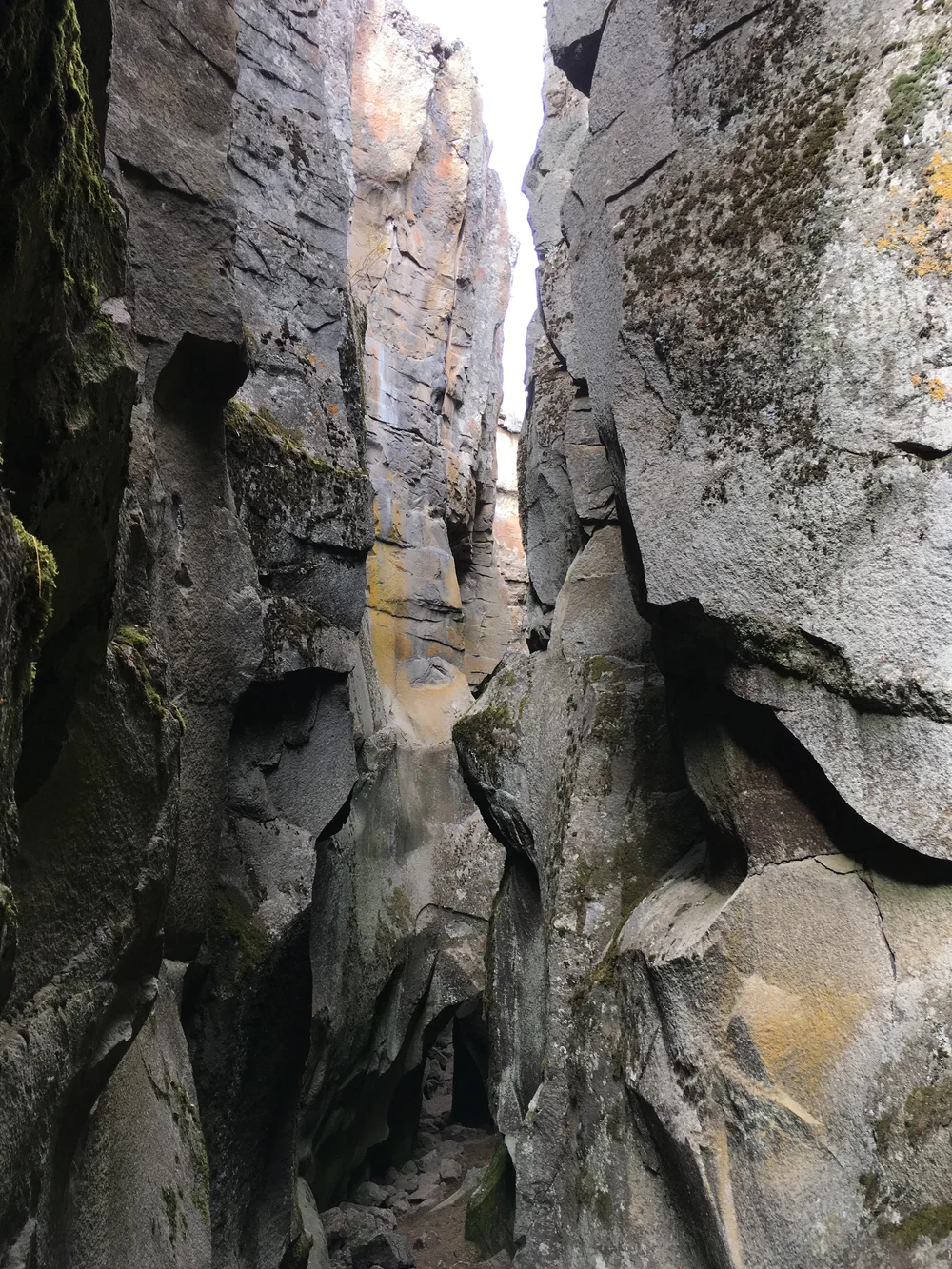 Crack In The Ground - 14.JPG