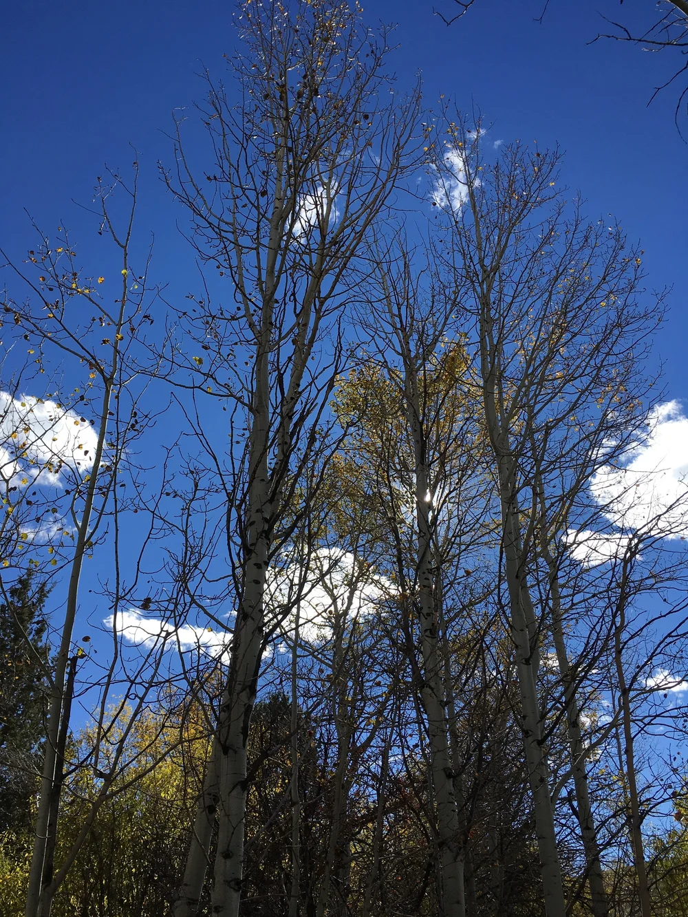 Hart Mountain - 26.JPG