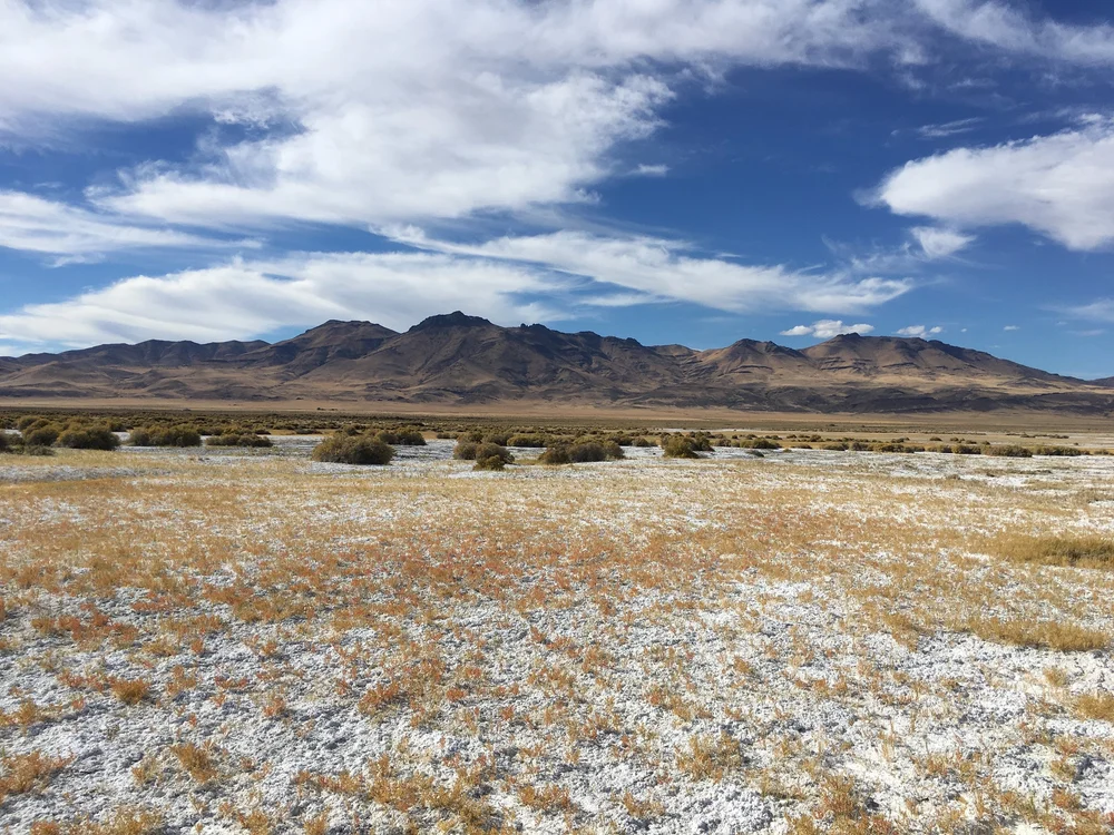 Alvord Desert - 17.JPG
