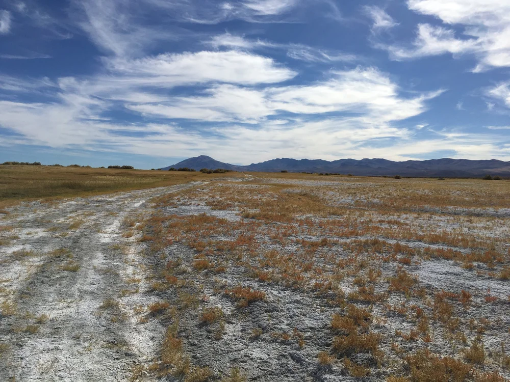 Alvord Desert - 18.JPG