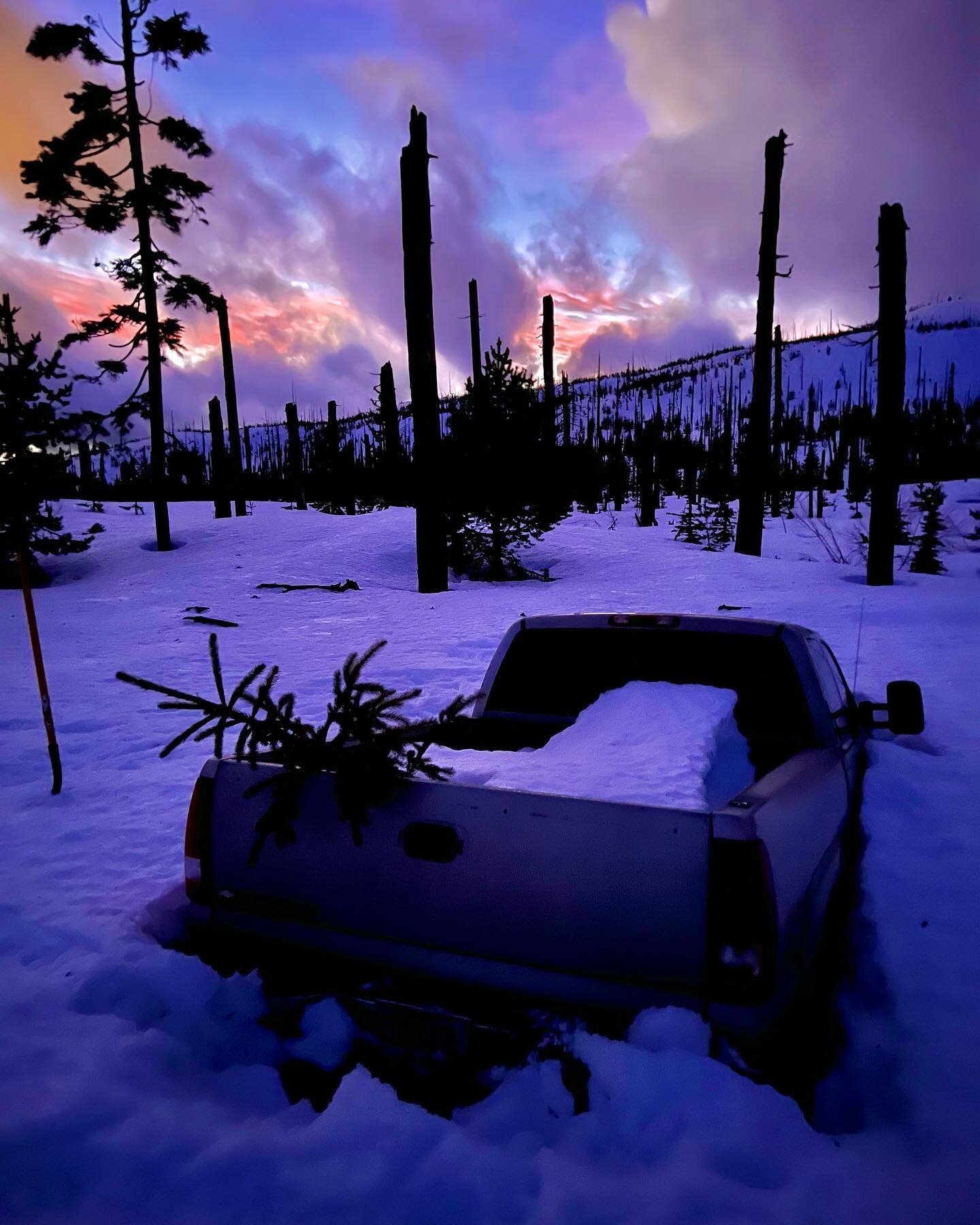 Update on the stranded truck: looks like things are moving forward! On Thursday night we hiked back out to uncover the plate and get a VIN so that law enforcement could find the owner. After giving that information over to the Willamette National For