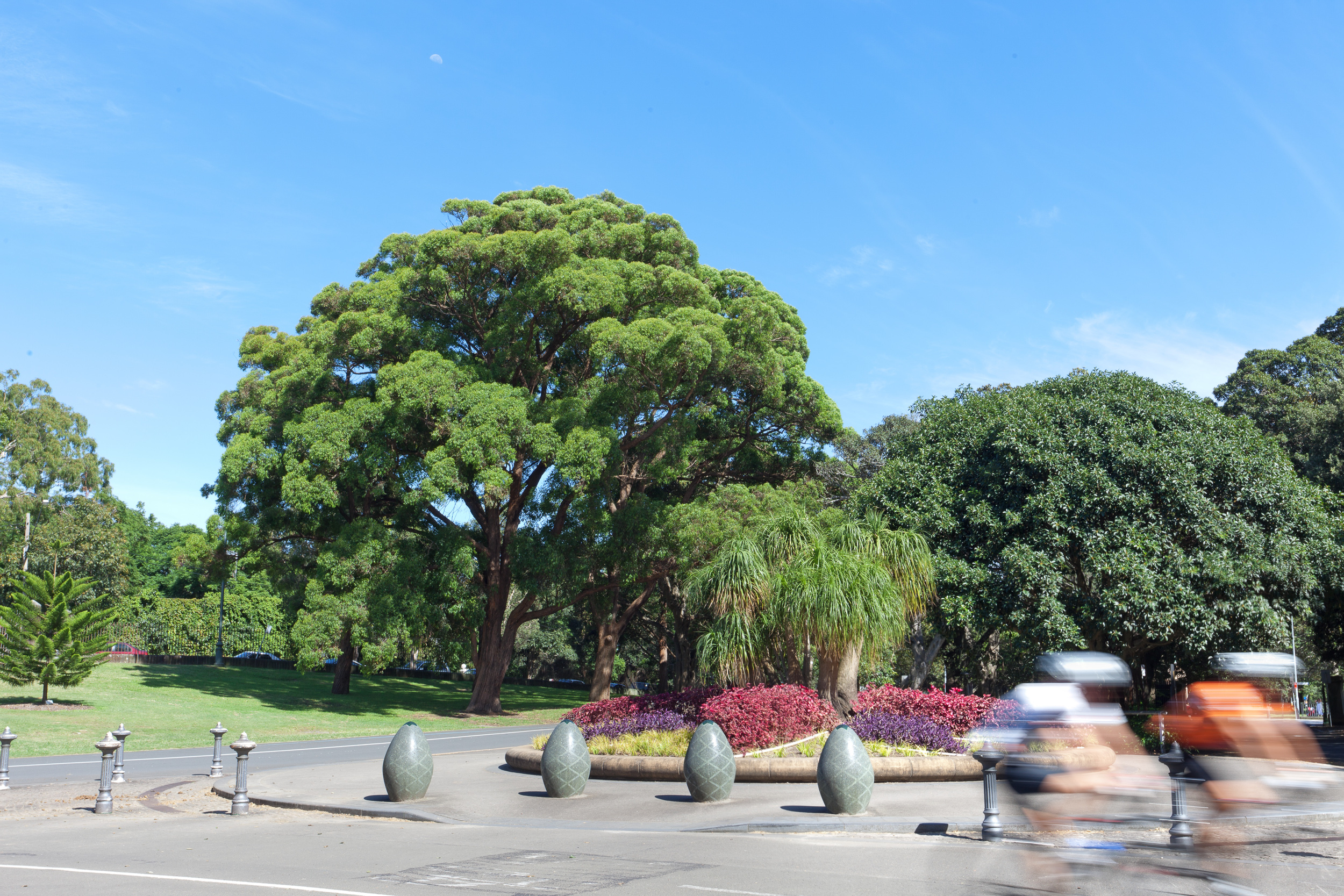 centen_park_IMG_8861.jpg