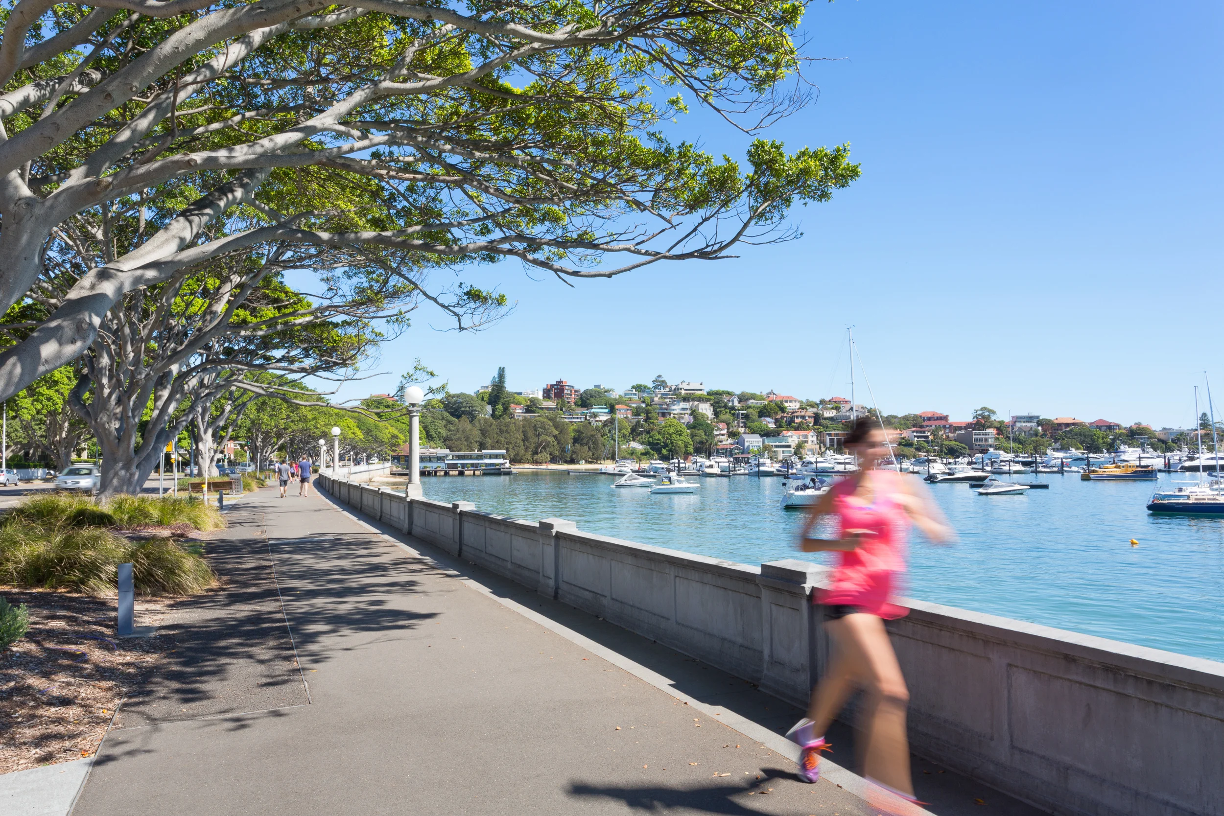 rosebay4.jpg