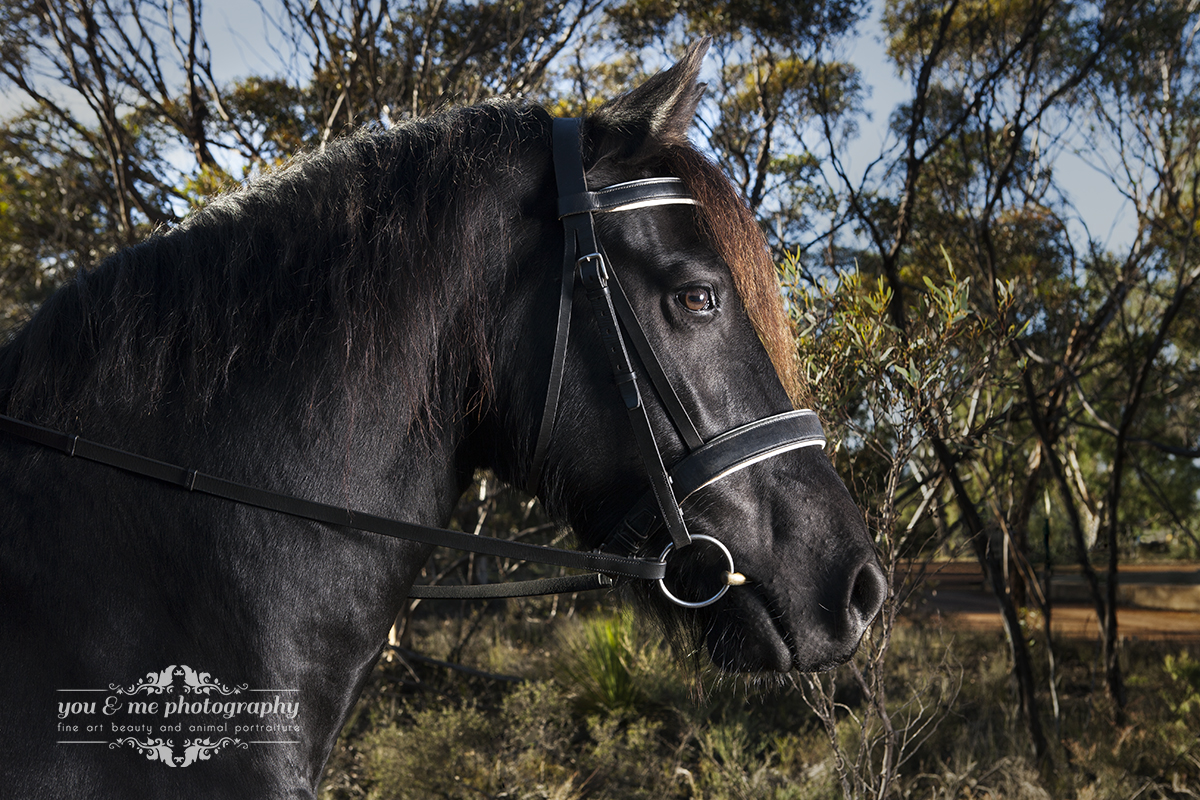 GriffithsSh_068-Edit copy.jpg