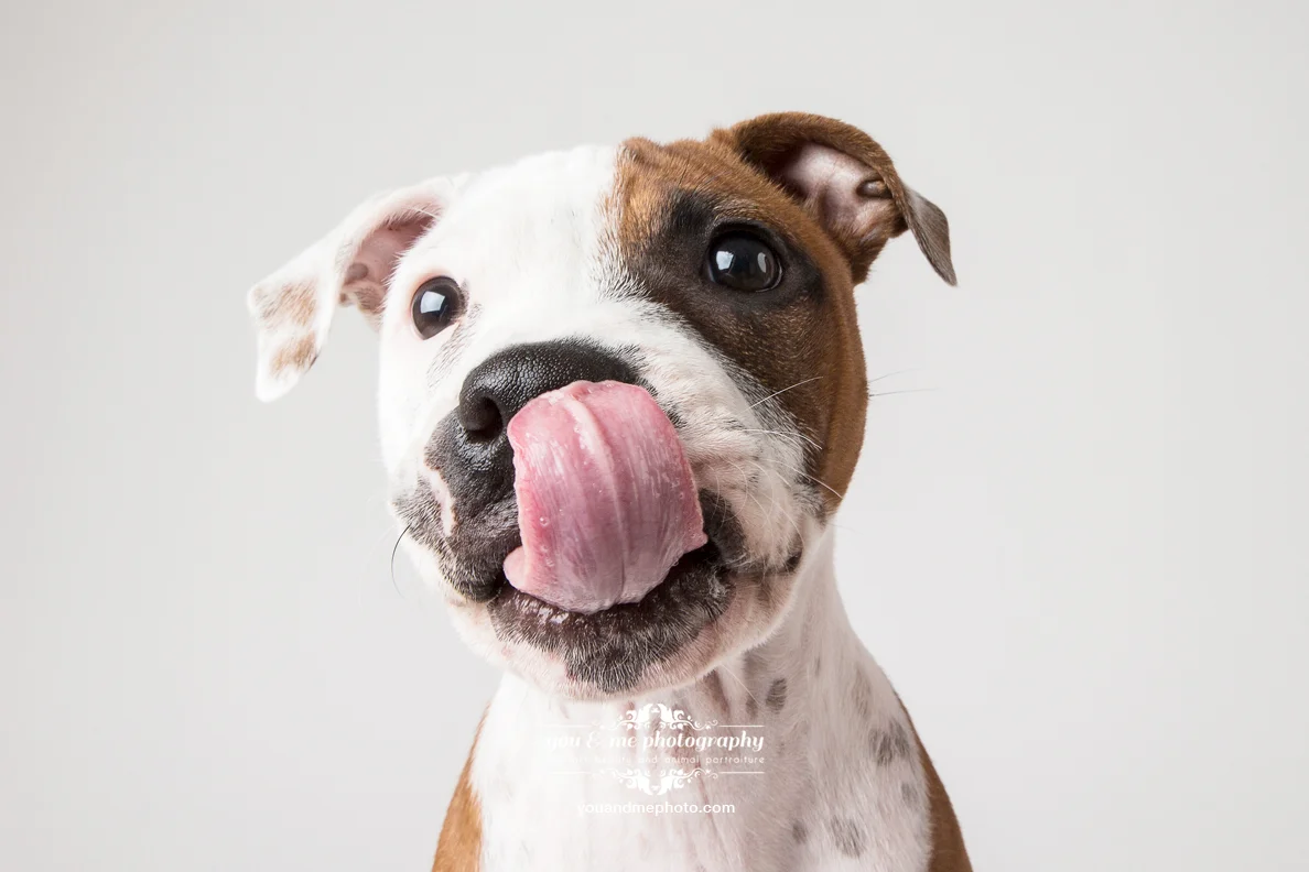 Bring treats :)