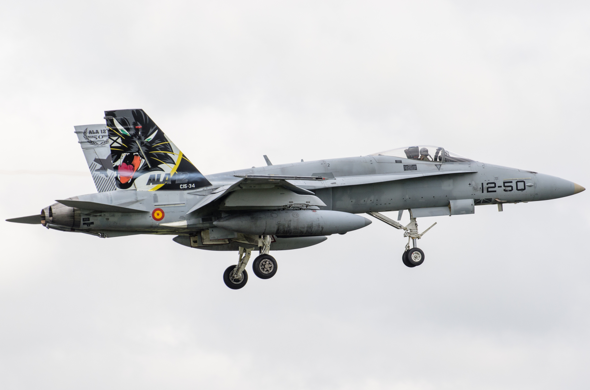 FA-18 Hornet
