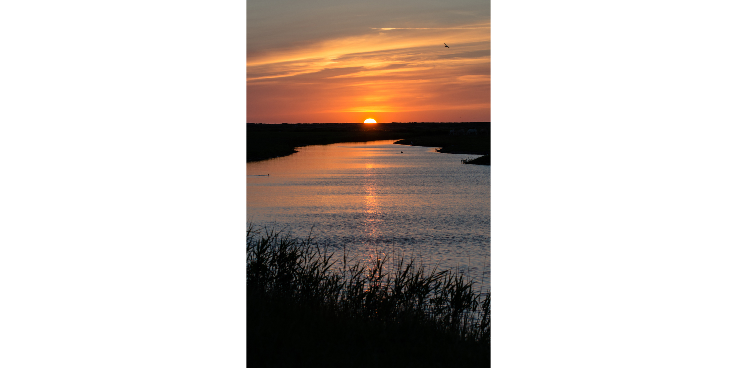 Zonsondergang bij de dijk 18-7