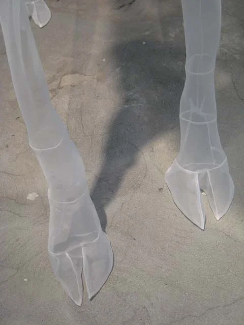 Father's hooves