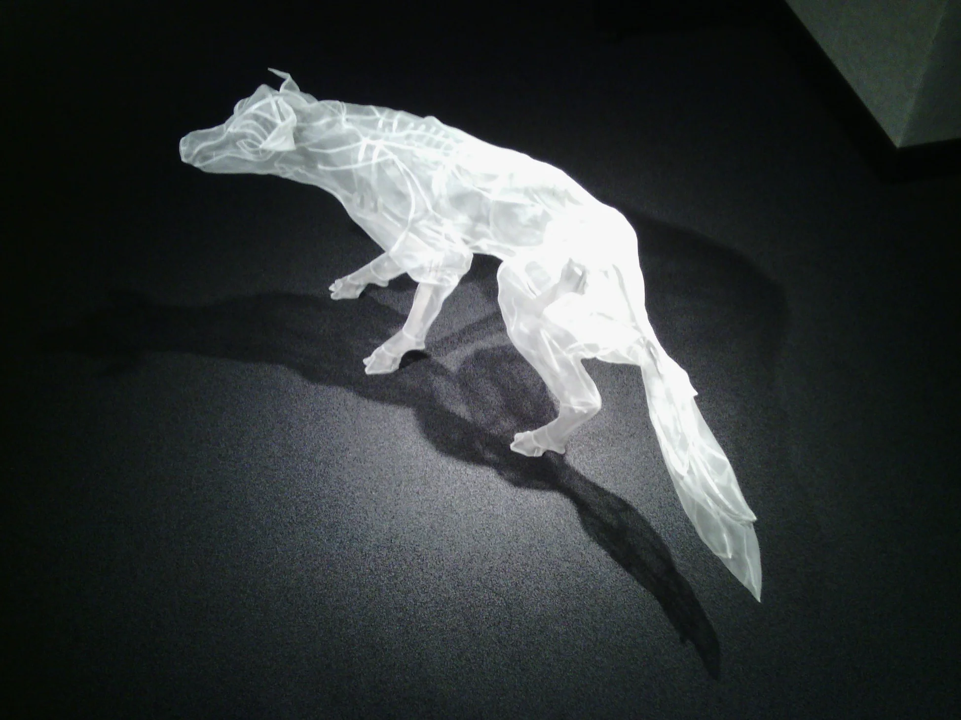 Fox is based on Red Fox native to Southern MI