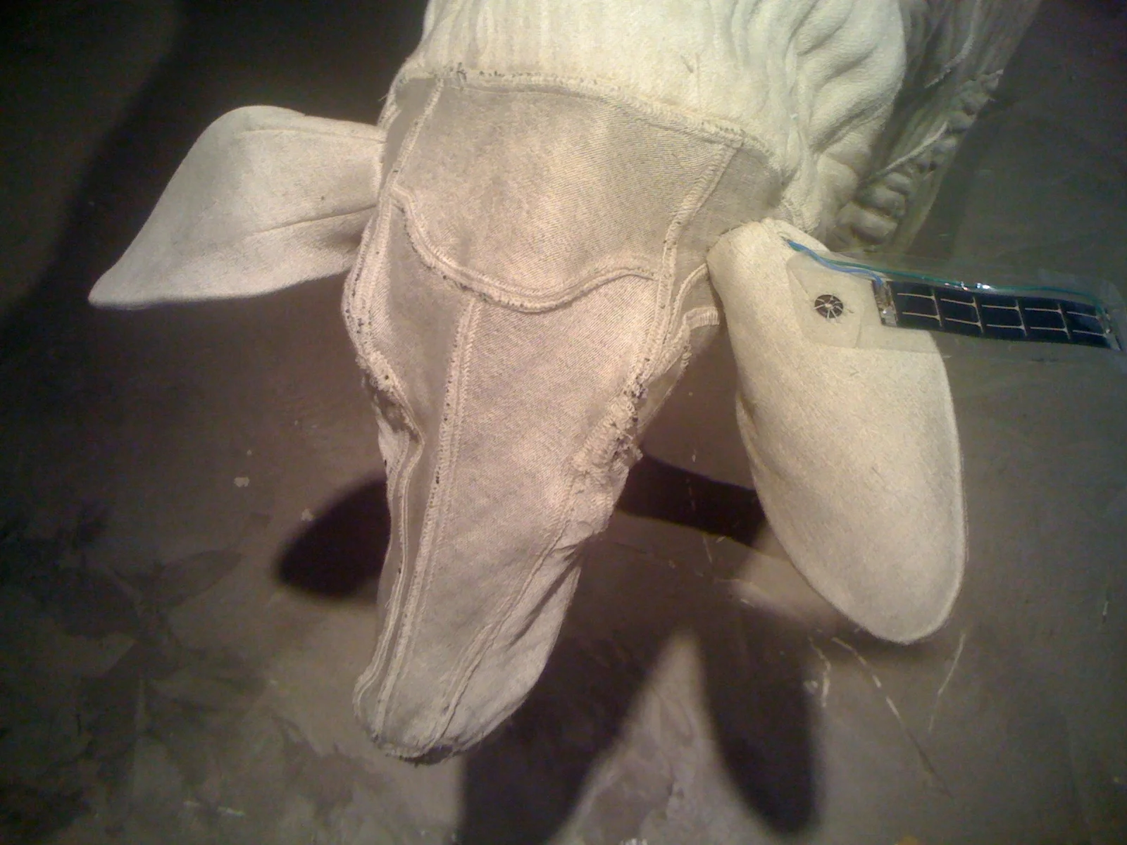  6 Minutes to Diamond&nbsp;Consciousness Detail. &nbsp;White Sheep with Ear Tag 