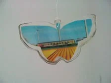 single butterfly.JPG