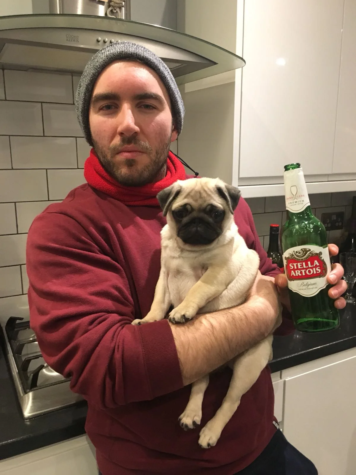 That is one worried looking pug