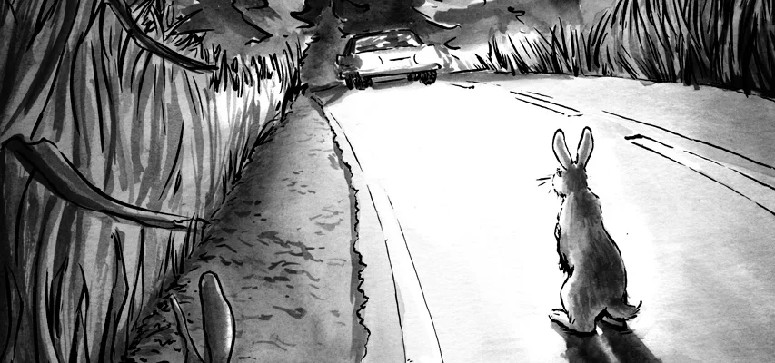 warren-rabbit-headlights.jpg