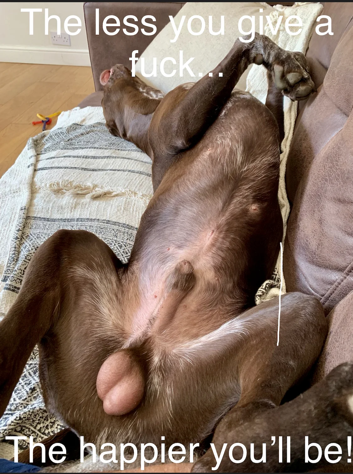 Oppo Balls.jpg