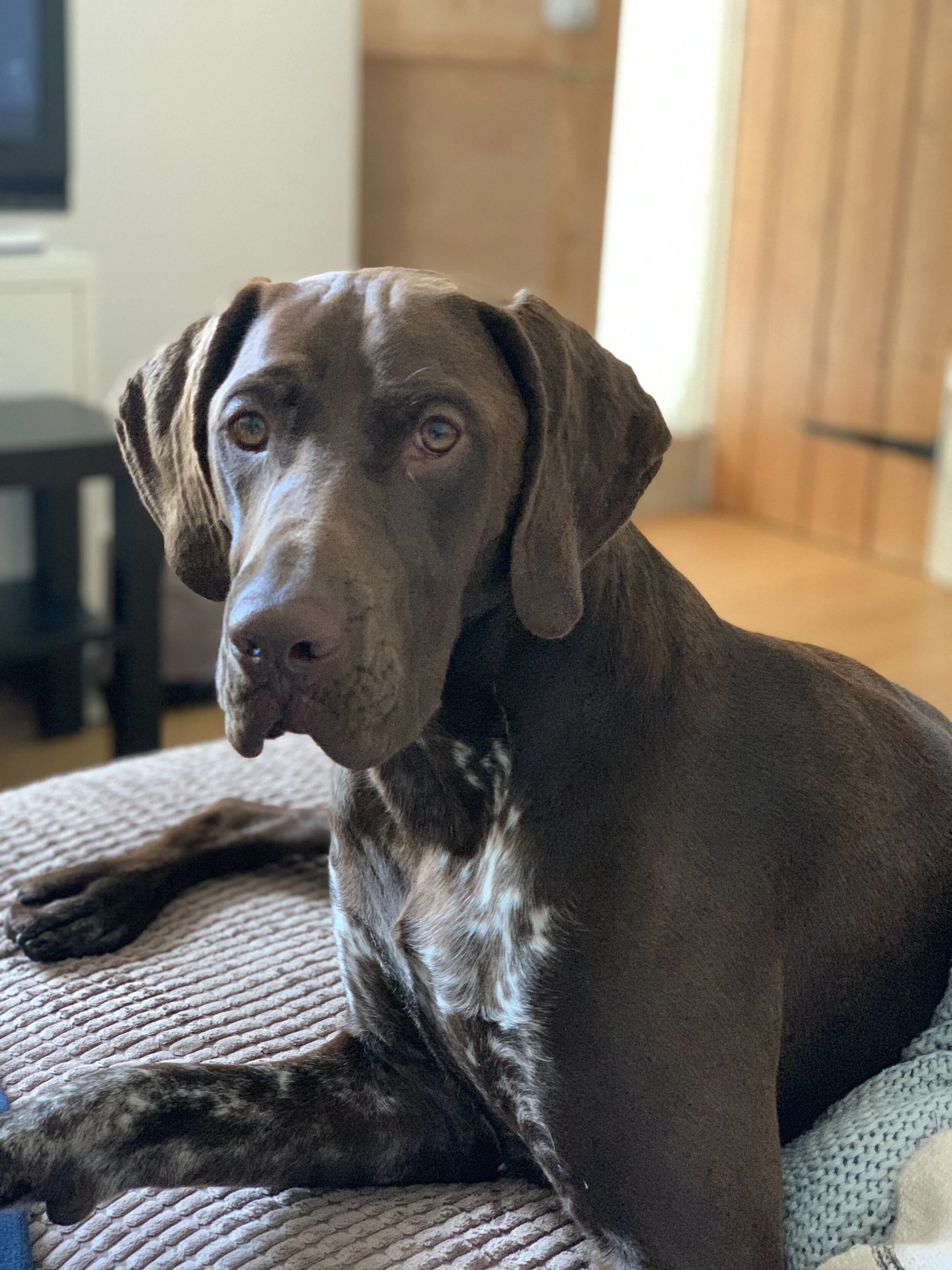 Butter wouldn’t melt!