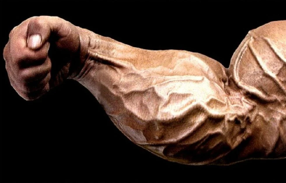 forearm.jpg