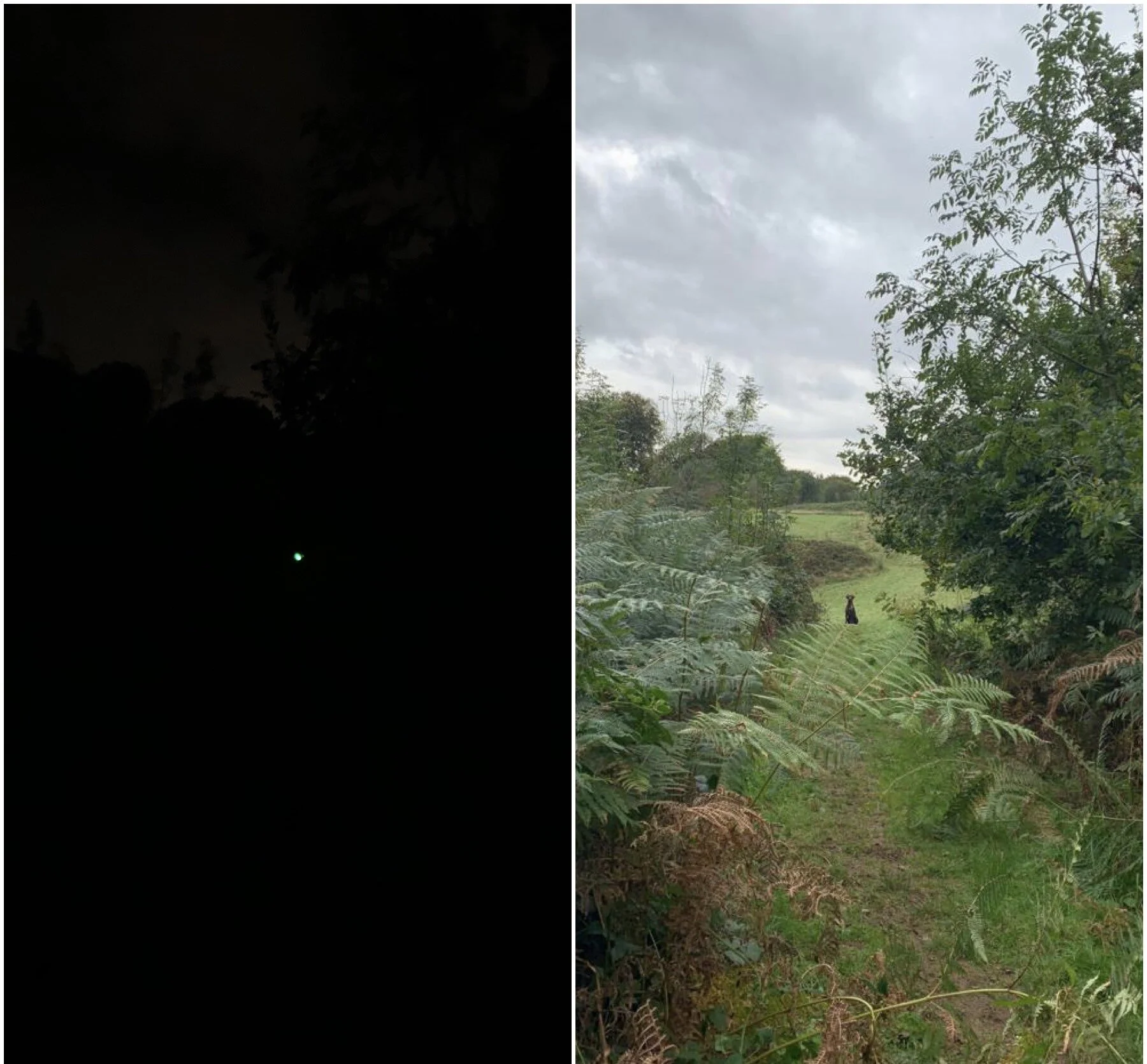 Night and day.jpg