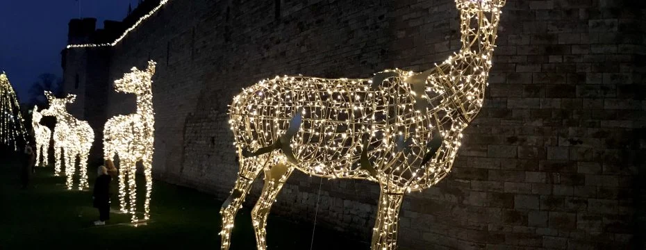 WoD - Wednesday 27th November, 2019 