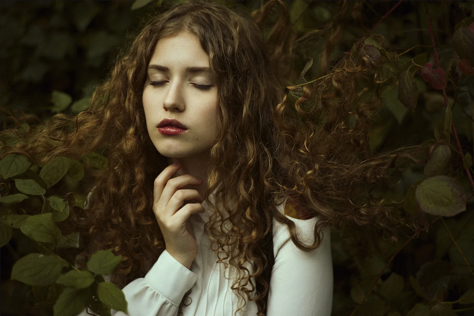 INTO THE WOODS III
