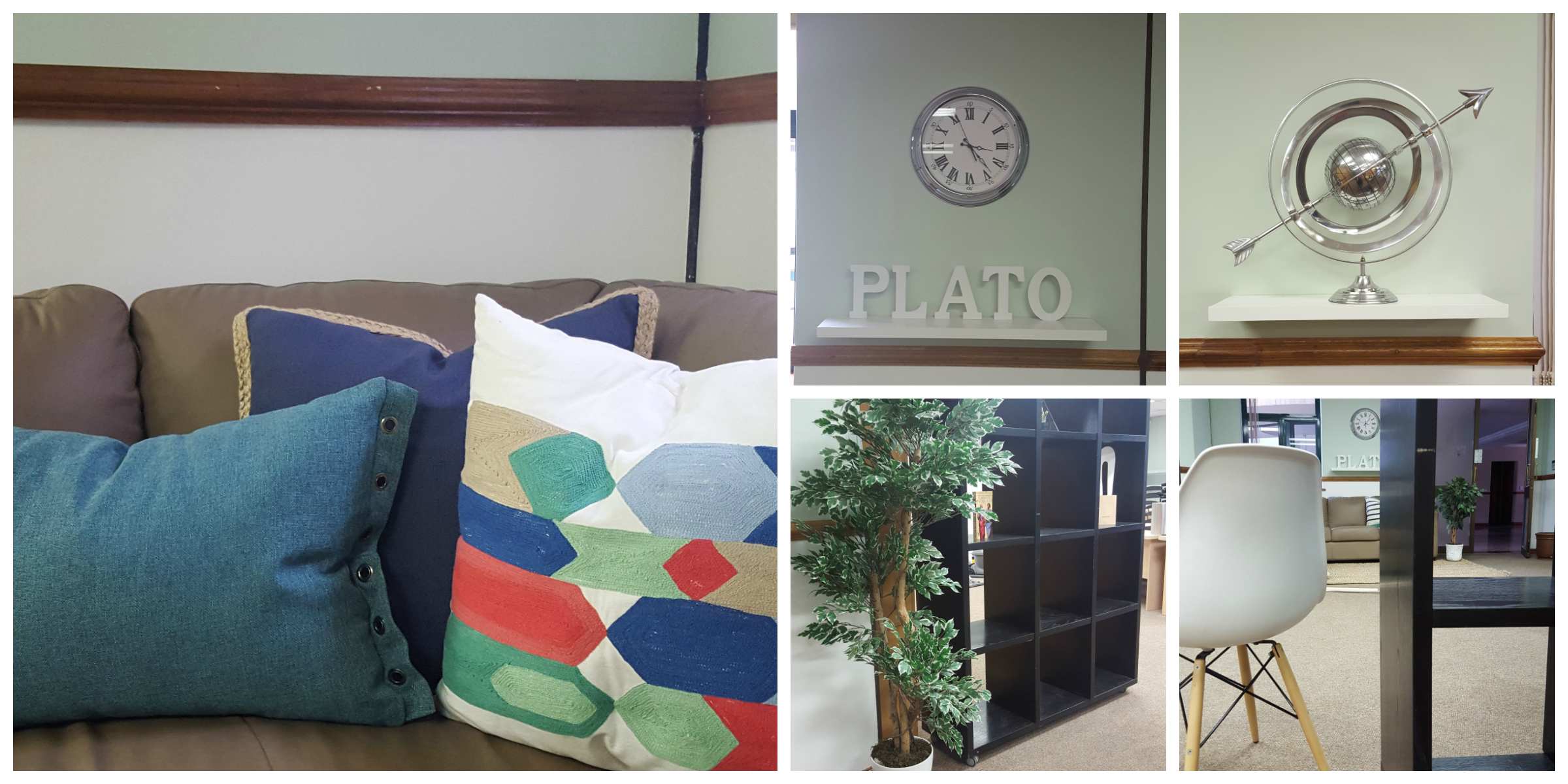 Plato After Other Collage.png