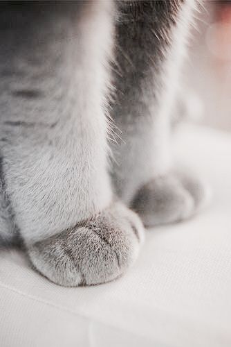 Image courtesy of Pinterest