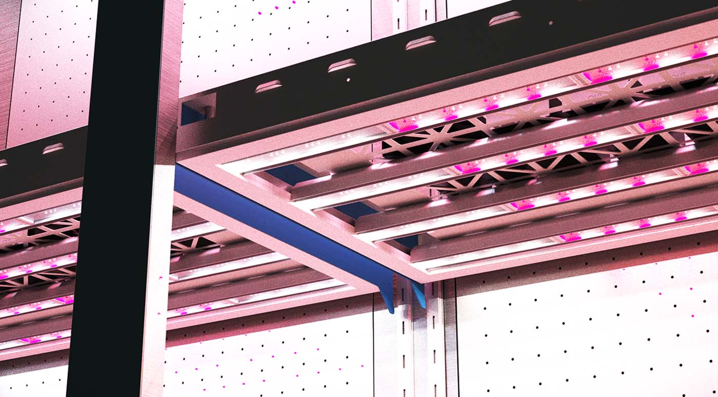 Web_Acorn Design_Inv_19.jpg