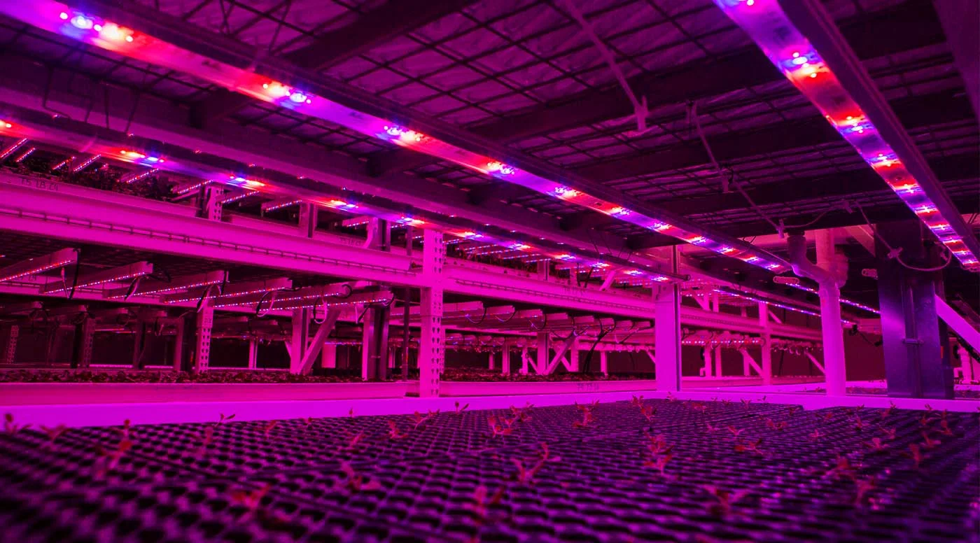 Web_Acorn Design_Inv_21.jpg