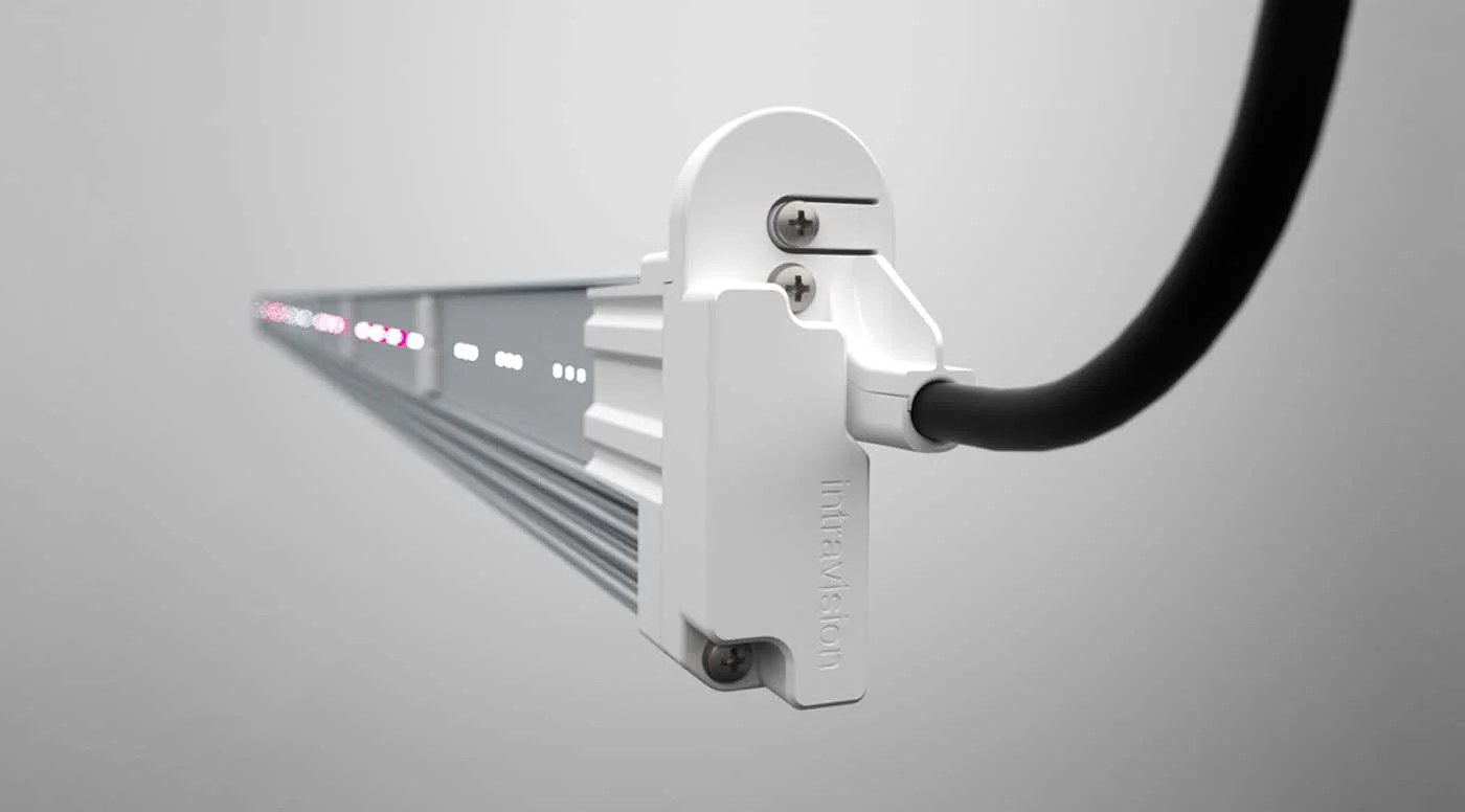 Web_Acorn Design_Inv_22.jpg