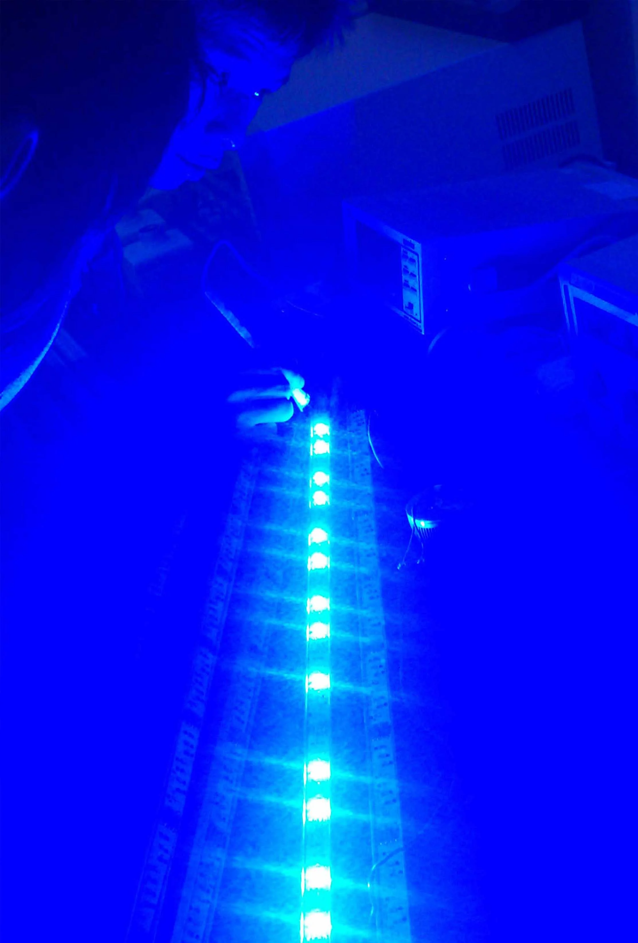 Web_Acorn Design_Inv_14.jpg